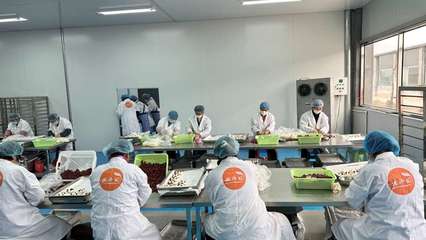 攜手阿里，智造未來 裕鑫博康借力淘工廠加速產業數字化升級